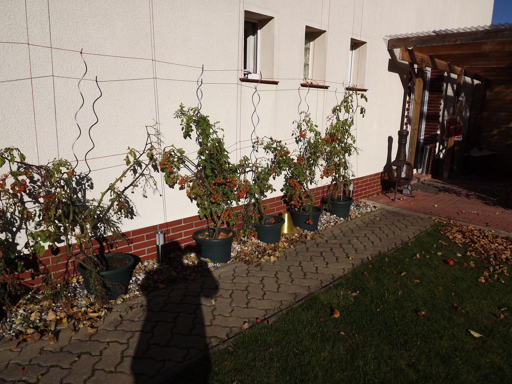 Pension Regenbogen Stralsund Esterno foto